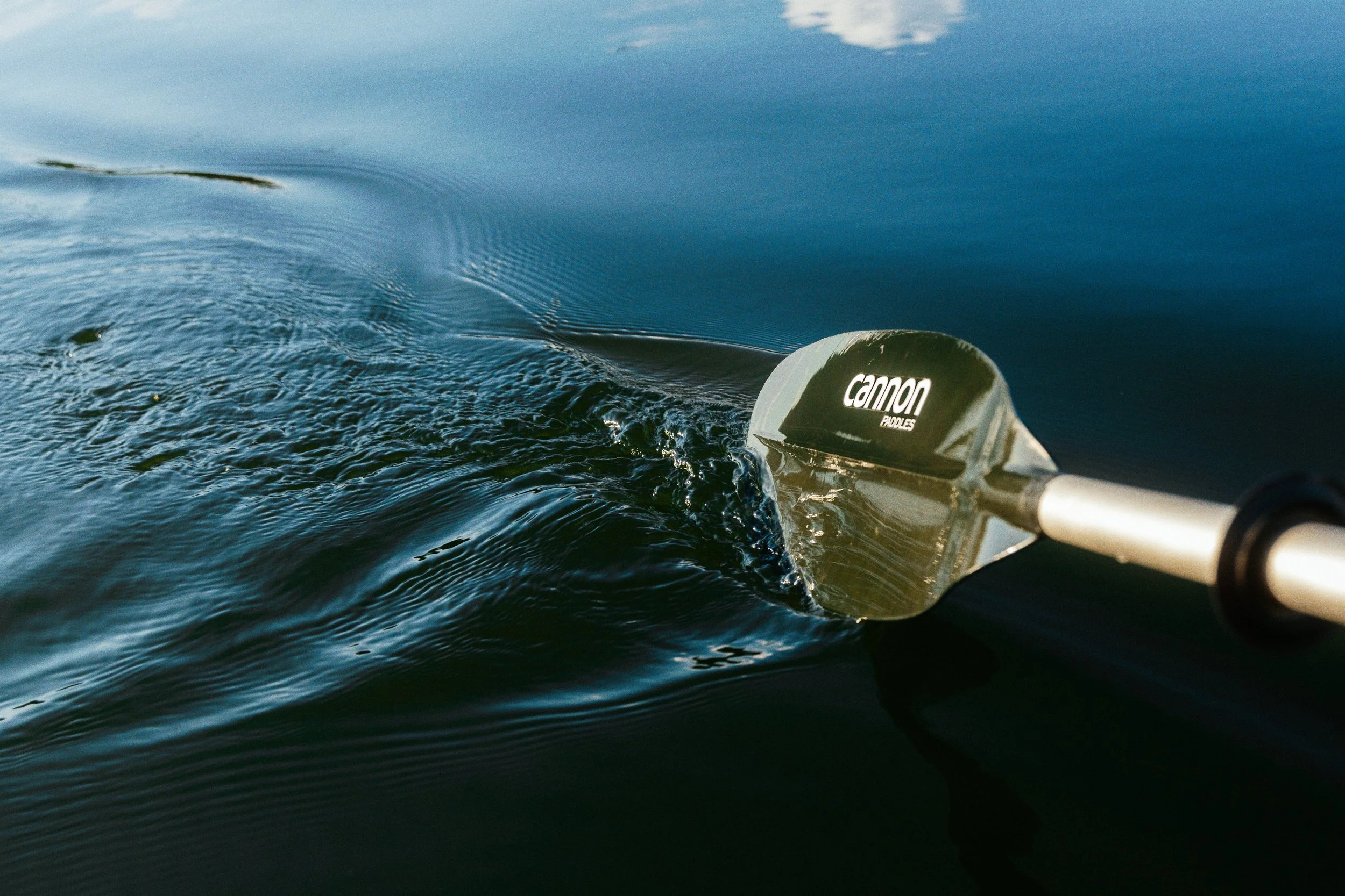 Portfolio Week 1.1.jpg