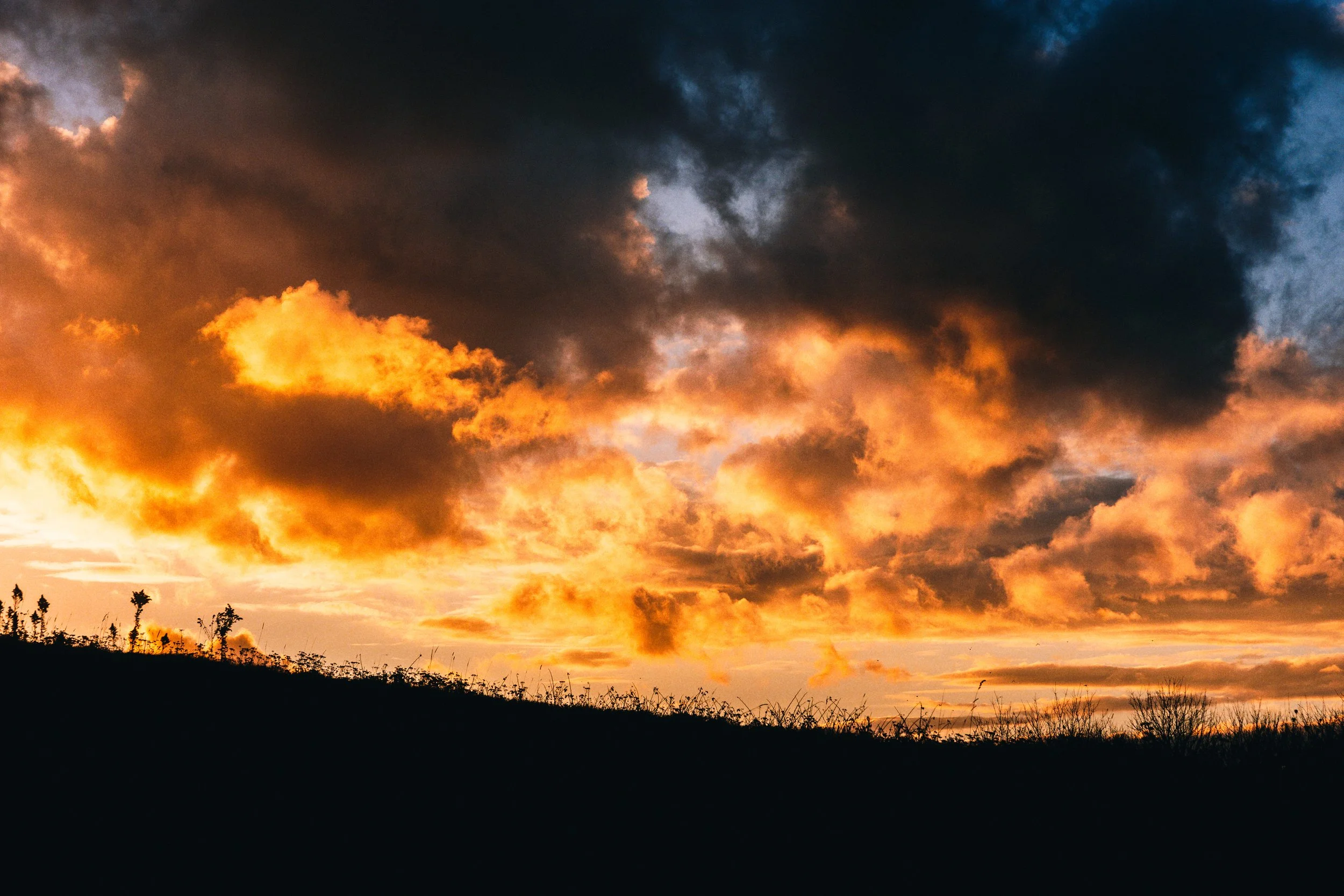 Website Images resized-5.jpg