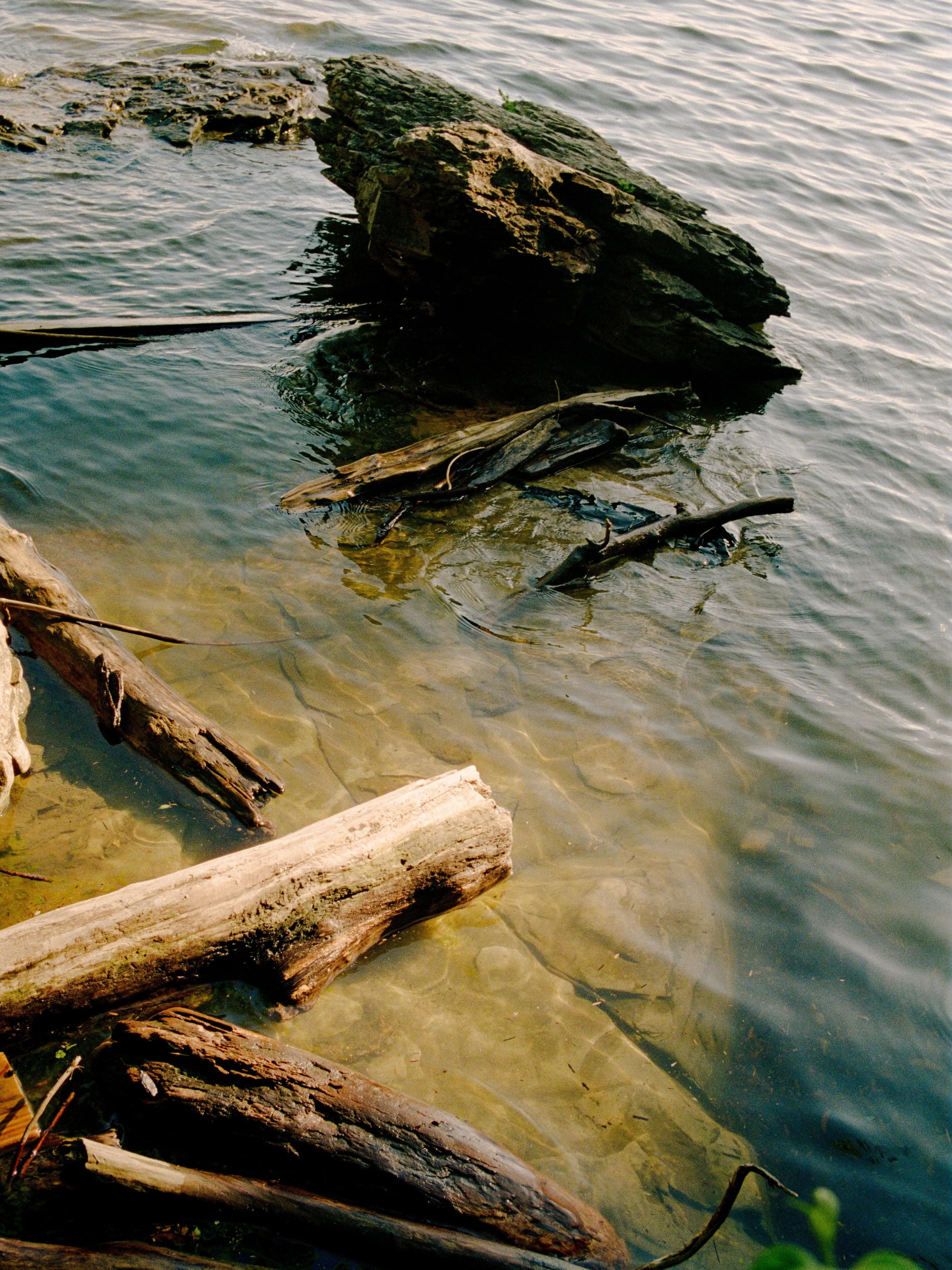 Website Images resized-54.jpg