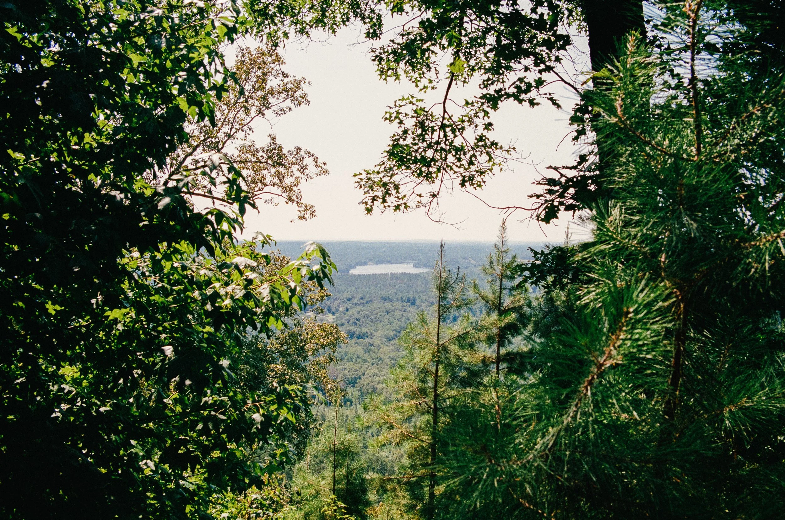 Website Images resized-41.jpg