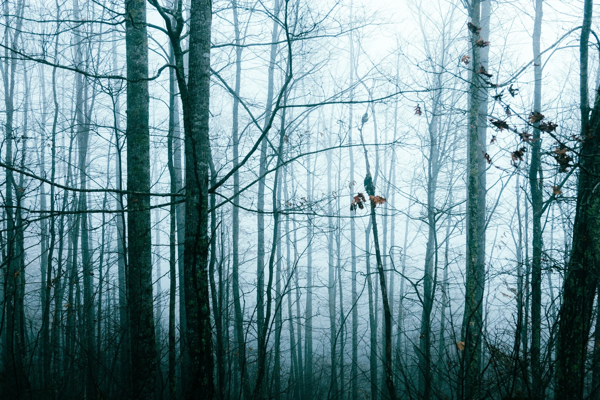 Website Images resized-6.jpg