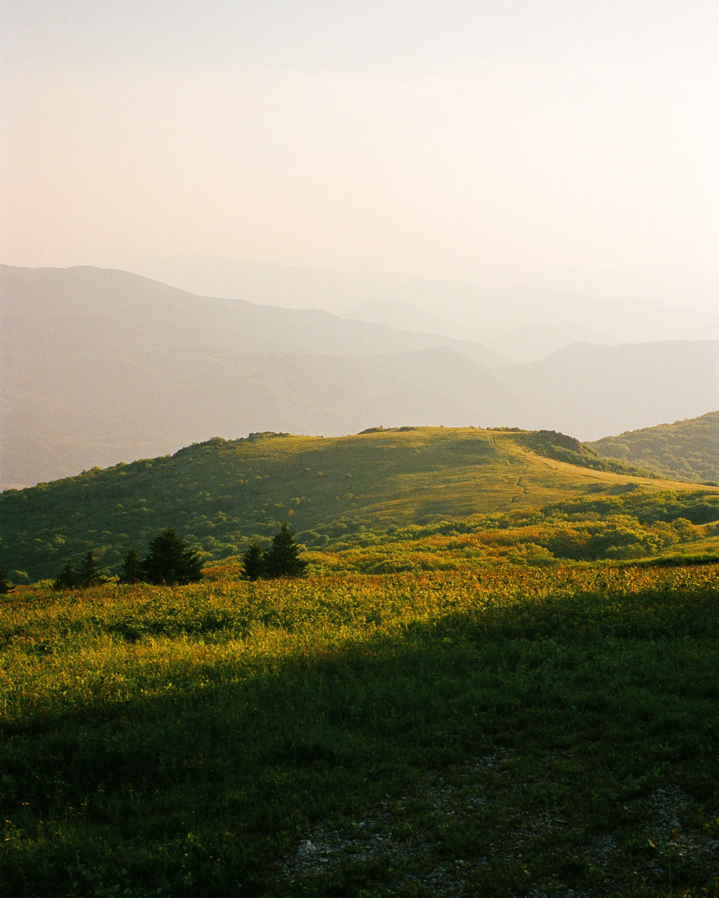 Website Images resized-16.jpg