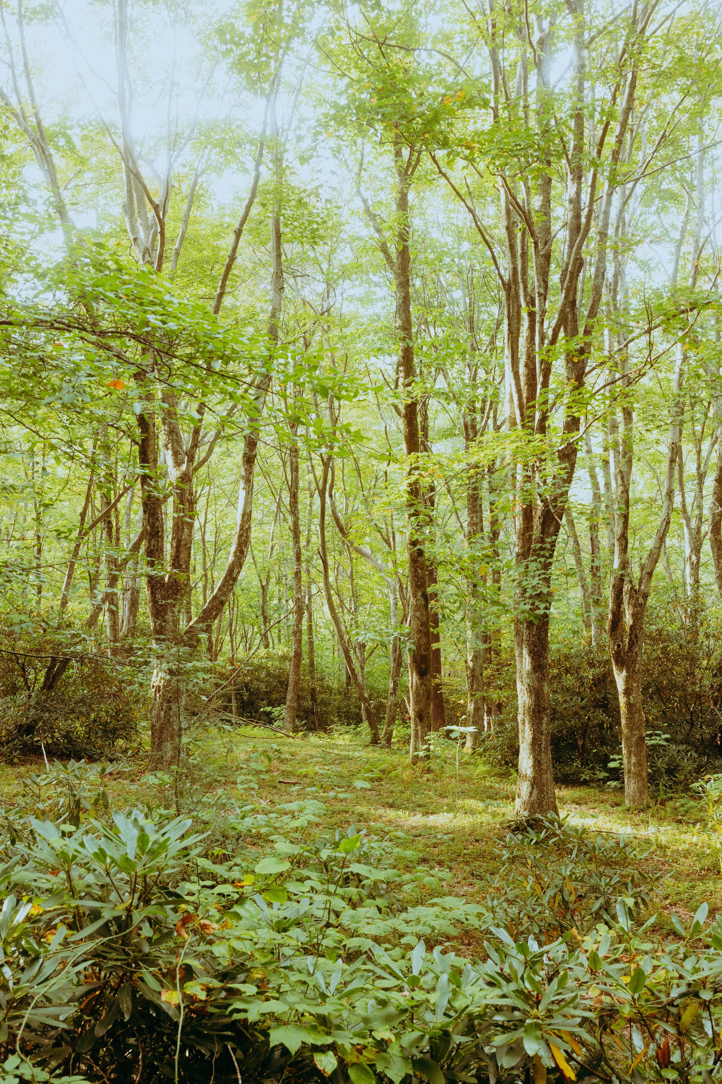 Website Images resized-19.jpg