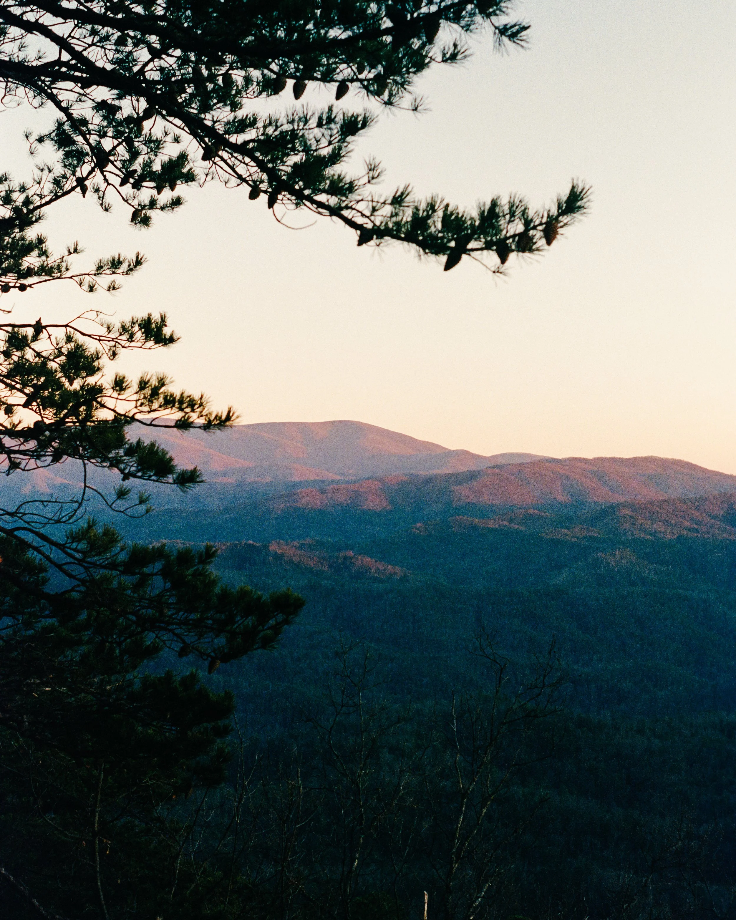 Website Images resized-30.jpg