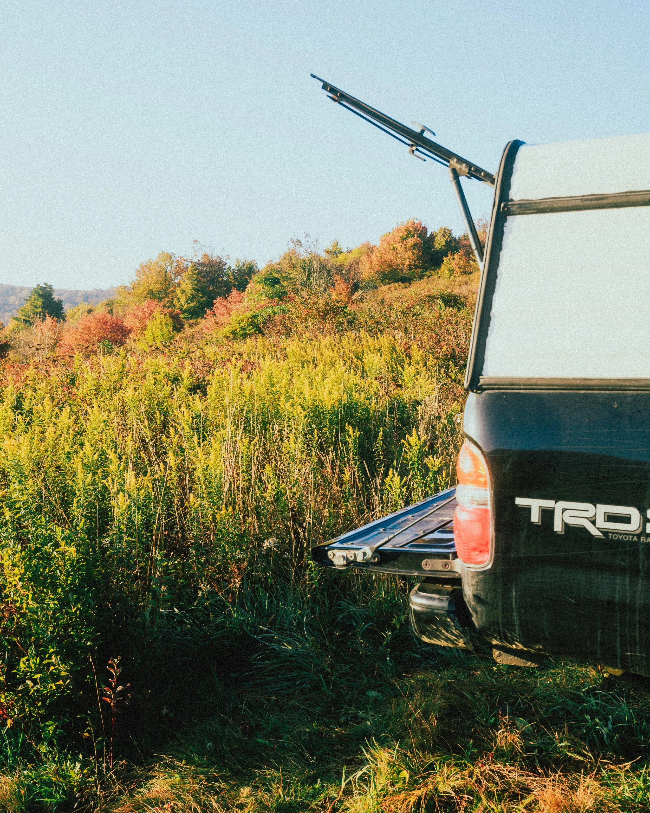 Website Images resized-27.jpg