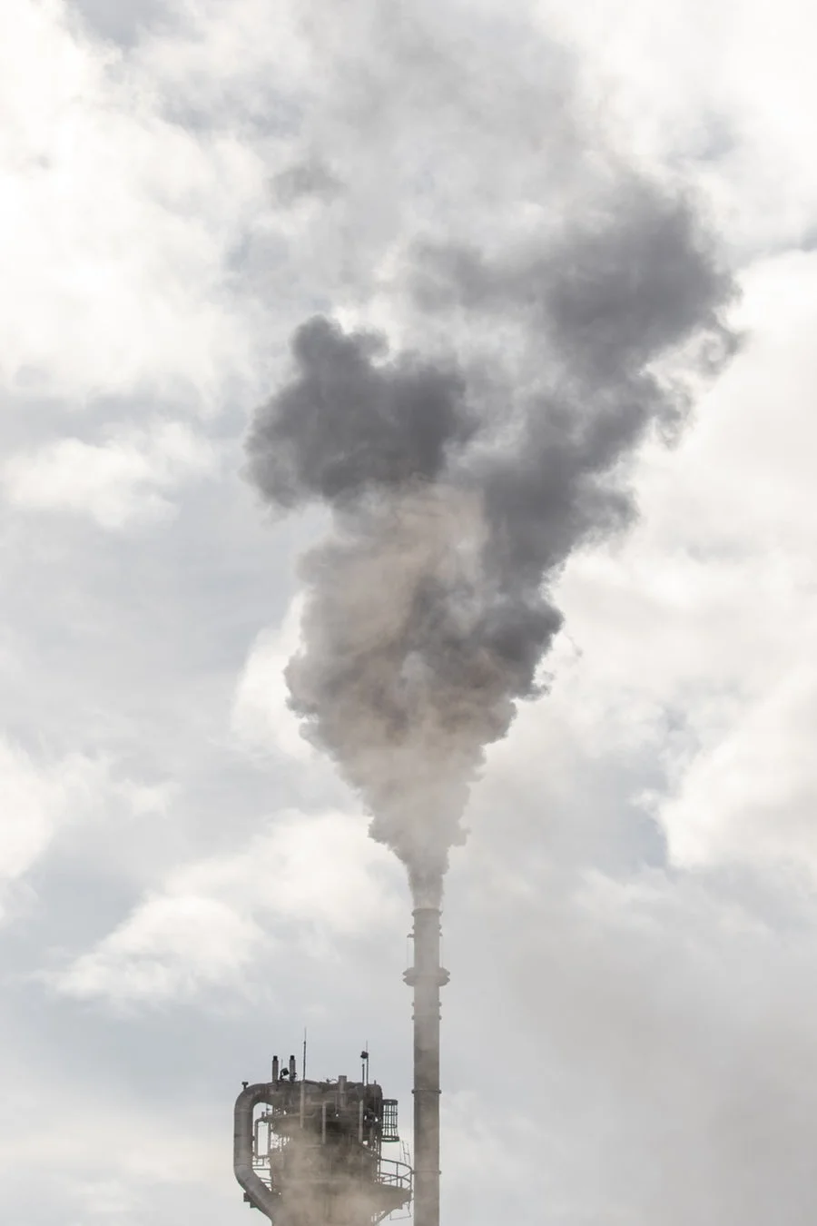 4 Tips to Reduce Your Carbon Footprint