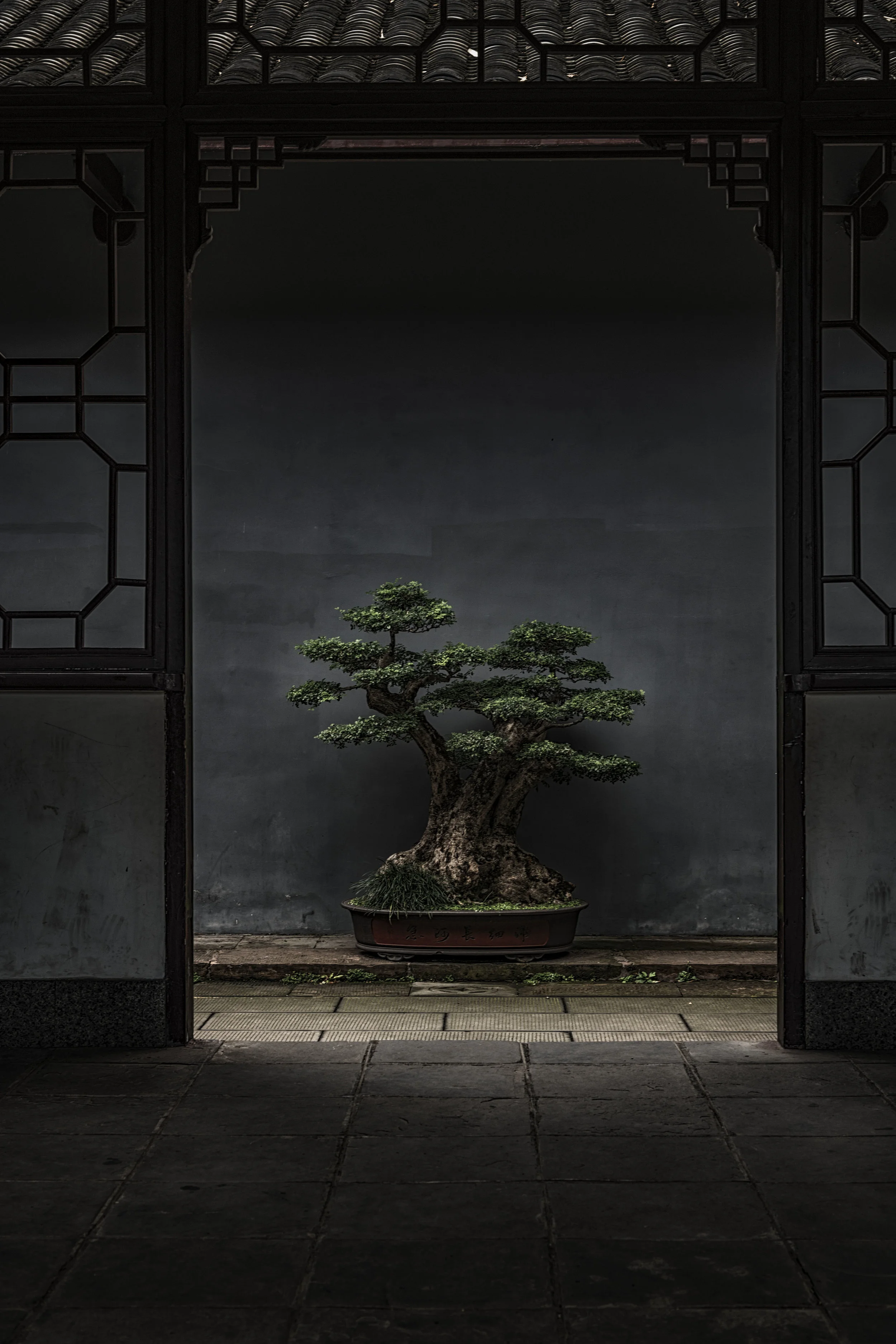 Quotes I'm Pondering July 29, 2019