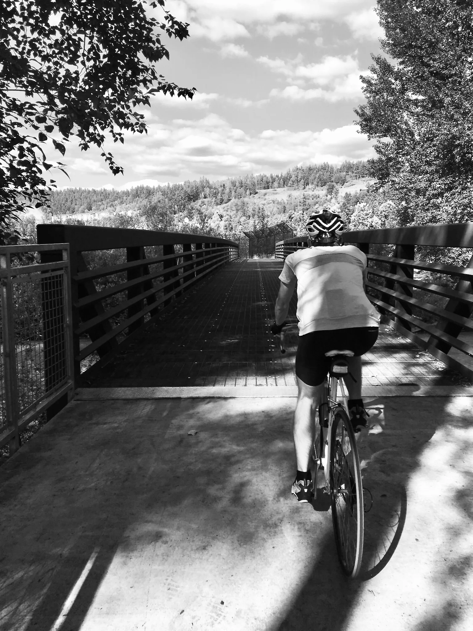My Favorite Quotes on Cycling