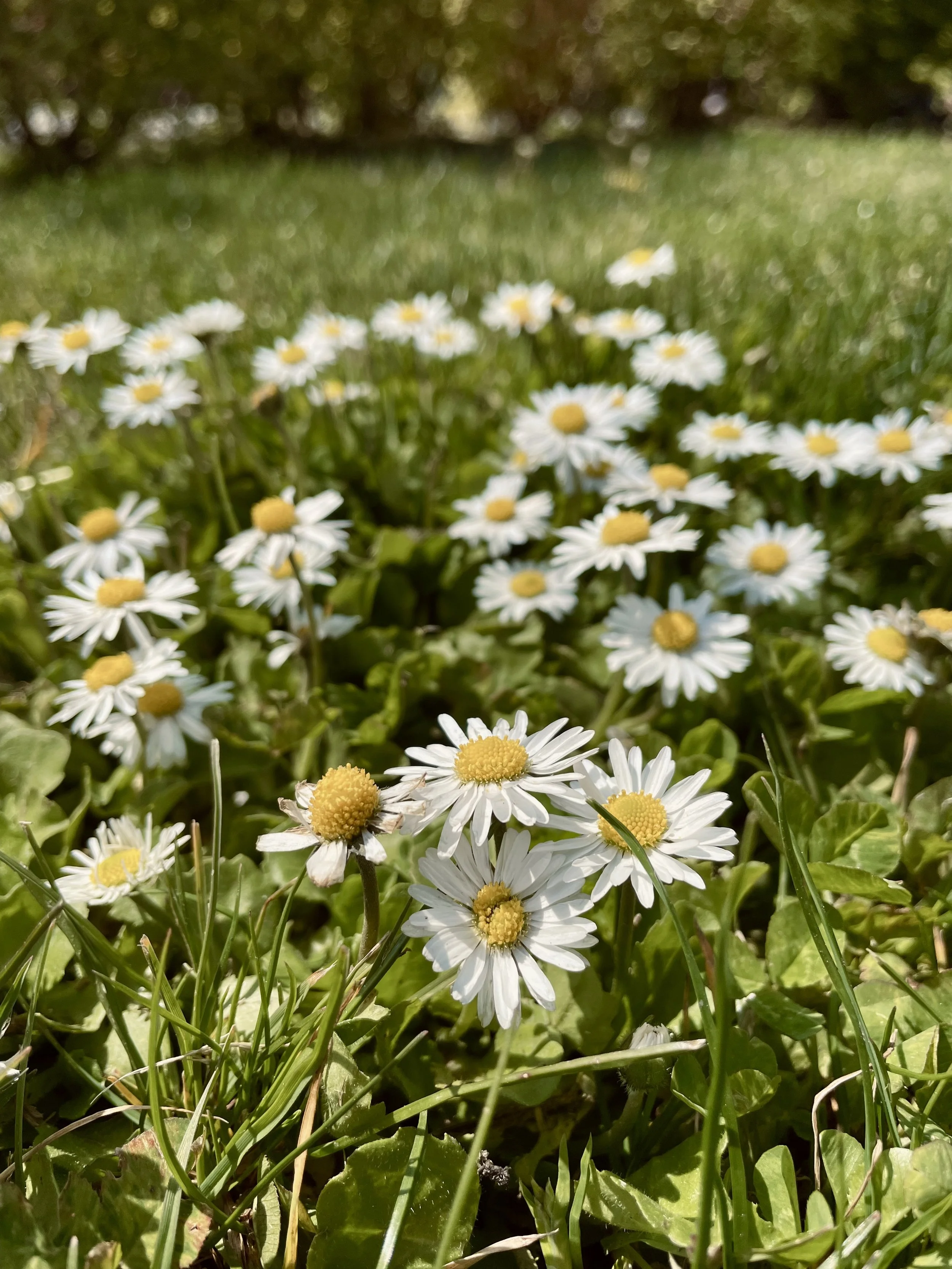 Quotes I'm Pondering April 2022