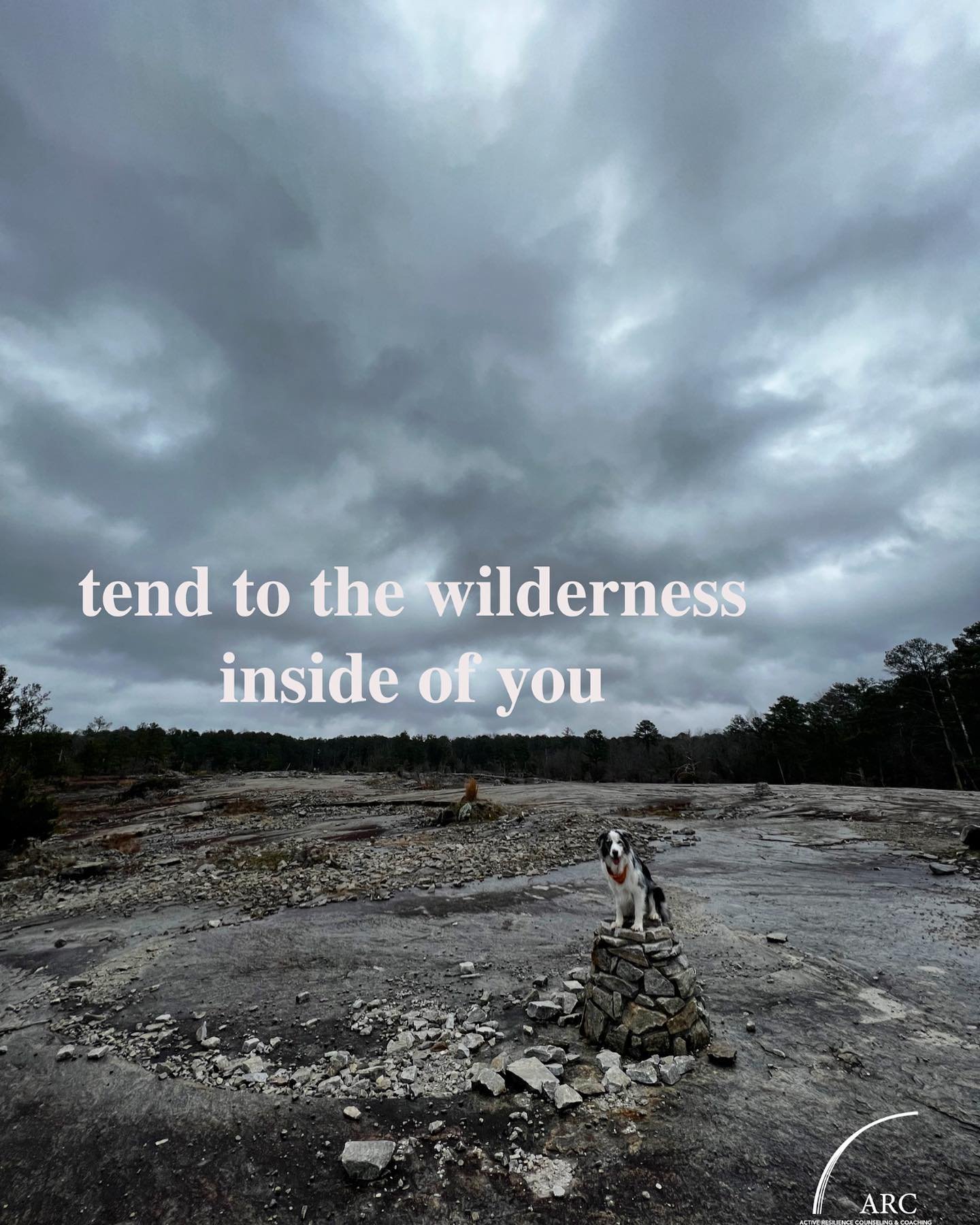 Tend to the wilderness inside of you. 

ARC offers integrative individual and group therapy using therapeutic approaches that focus on providing care to children and adult with high levels of stress or post-traumatic stress that make it challenging t