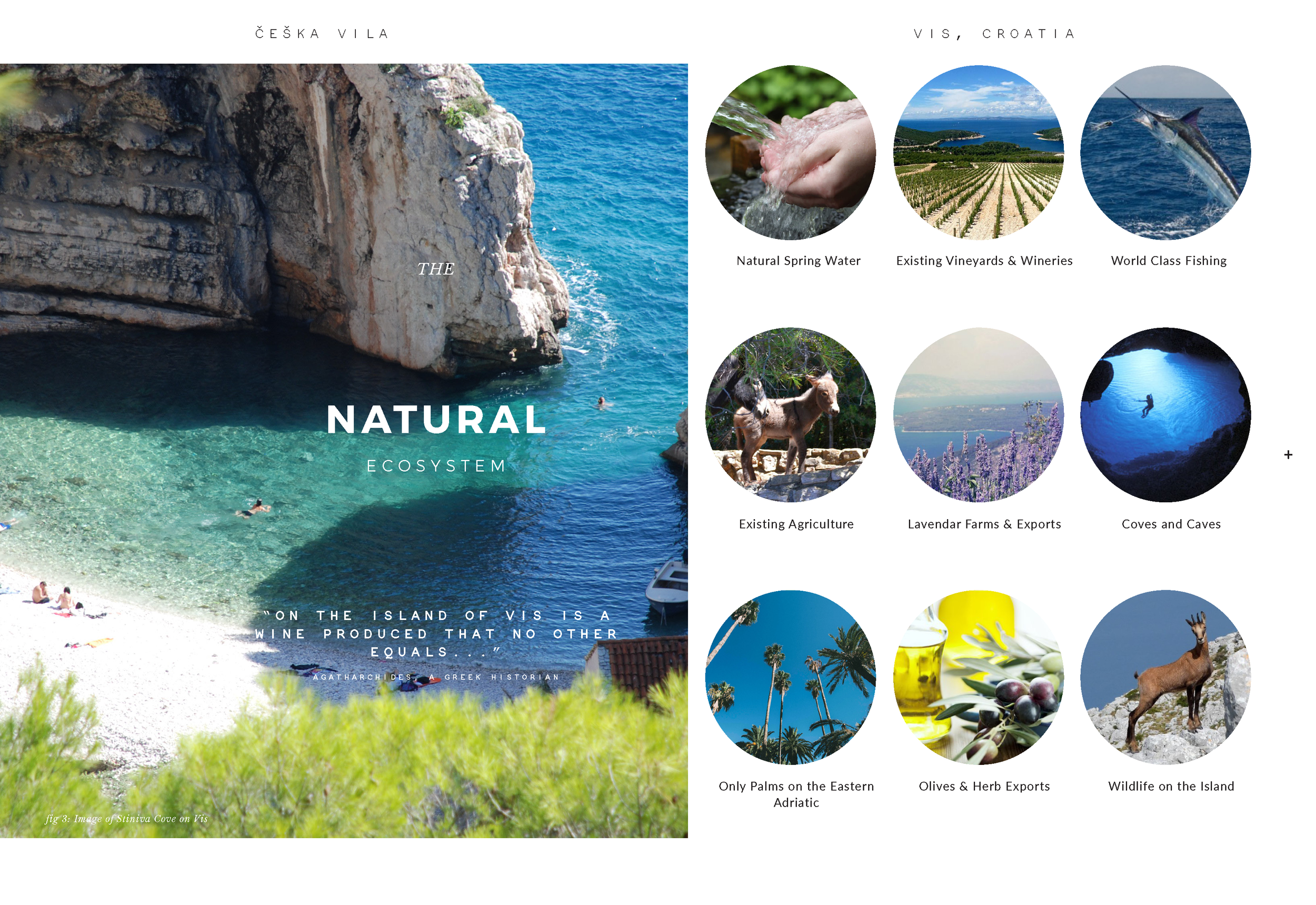 Ceska_Portfolio_Page_8.png
