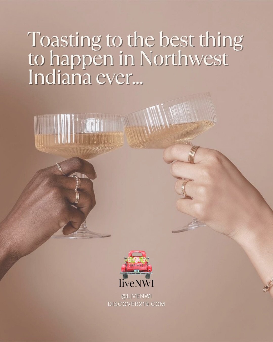 Less than ONE MONTH until Discover219 drops&hellip;

Calling all local businesses in #NorthwestIndiana ‼️ This one is for you. 

Discover219 launches April 1: a region-wide campaign powered by @livenwi + partnering with the Food Bank of Northwest Ind