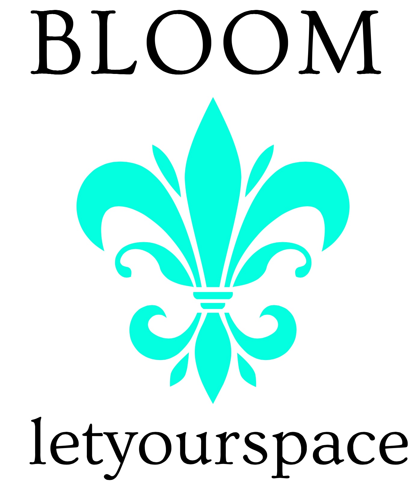 Let Your Space BLOOM - Professional Organizer Serving Baltimore Homes & Beyond