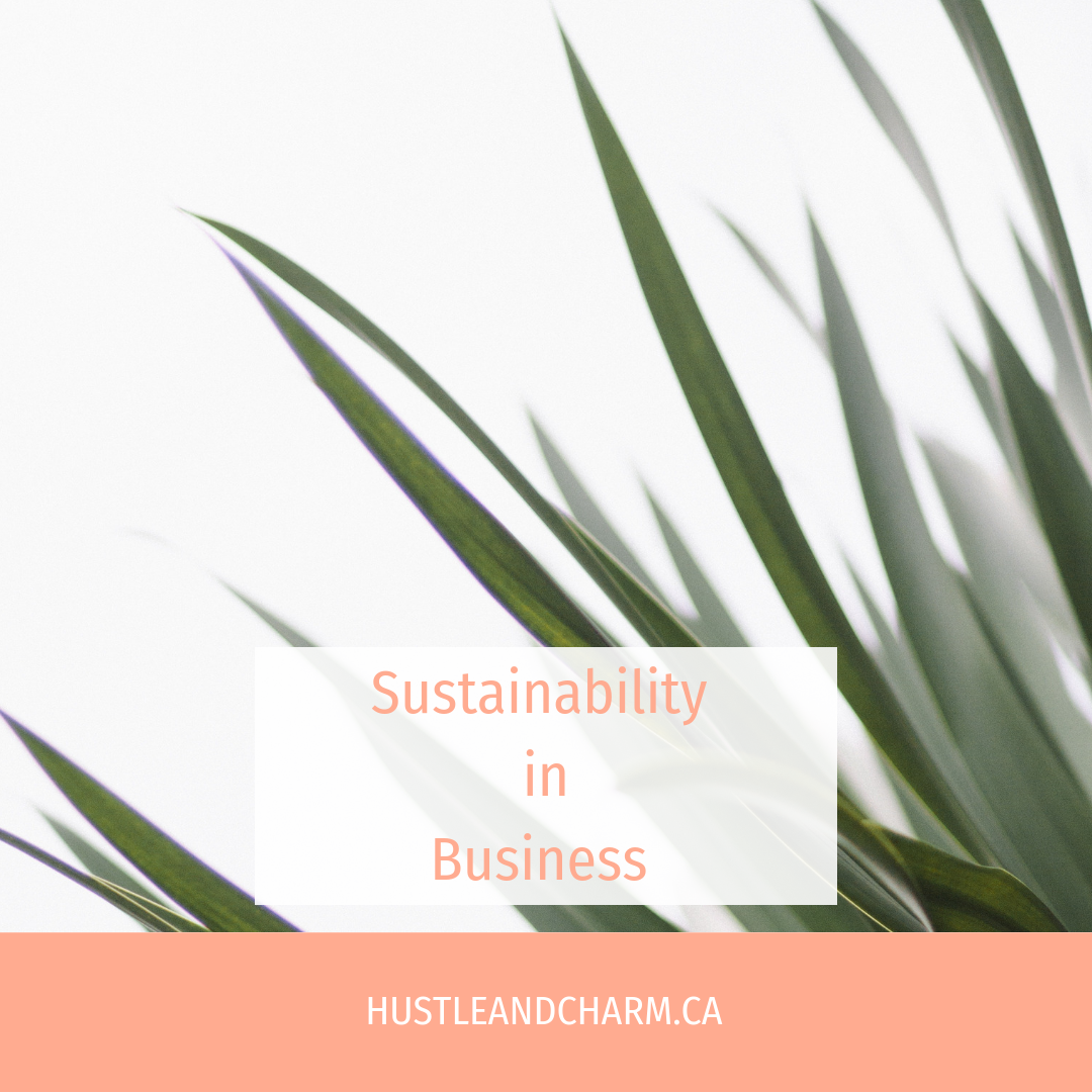 Sustainability In Business 
