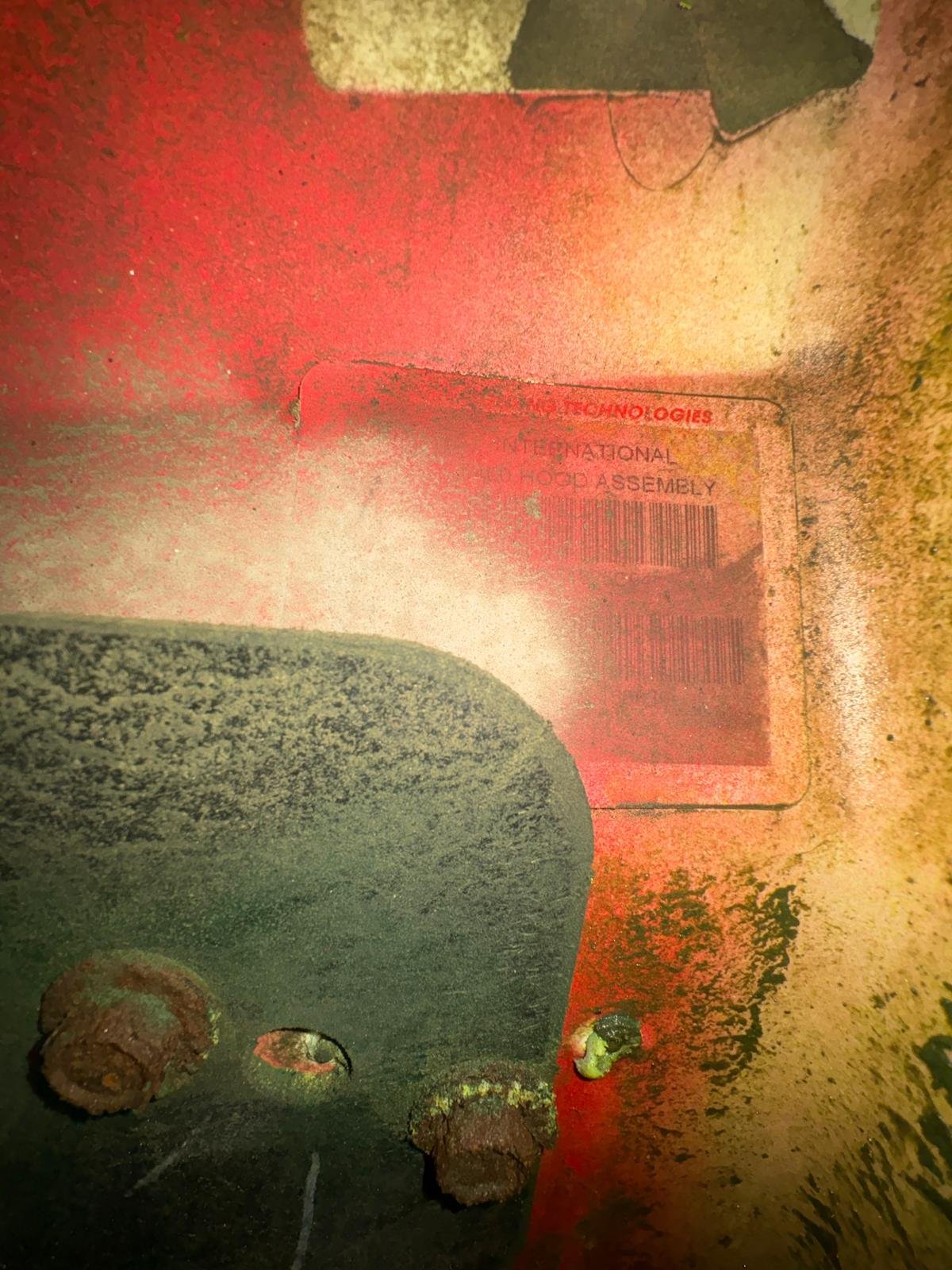 WhatsApp Image 2026-01-23 at 11.30.48 AM (5).jpeg