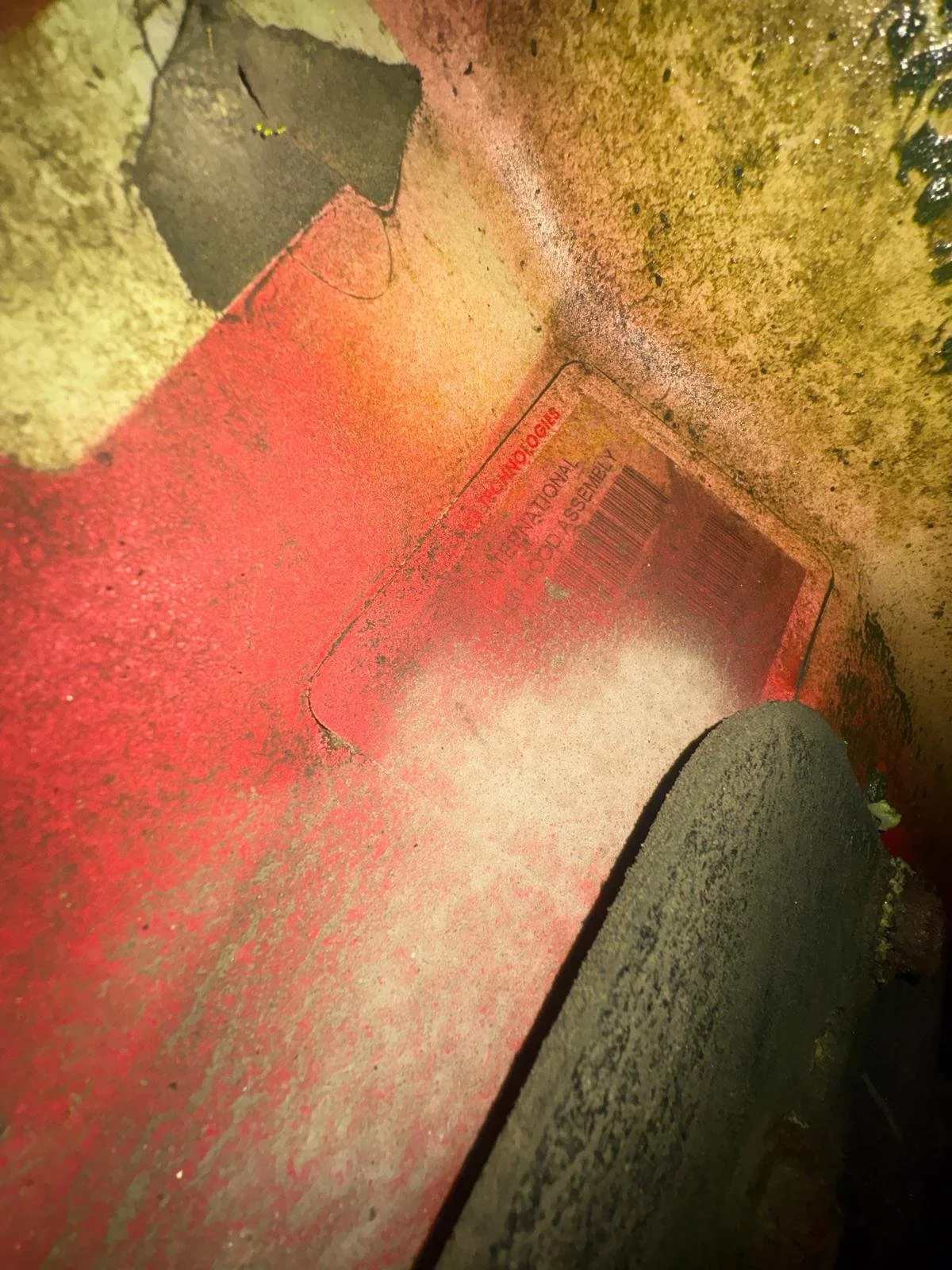 WhatsApp Image 2026-01-23 at 11.30.48 AM (6).jpeg