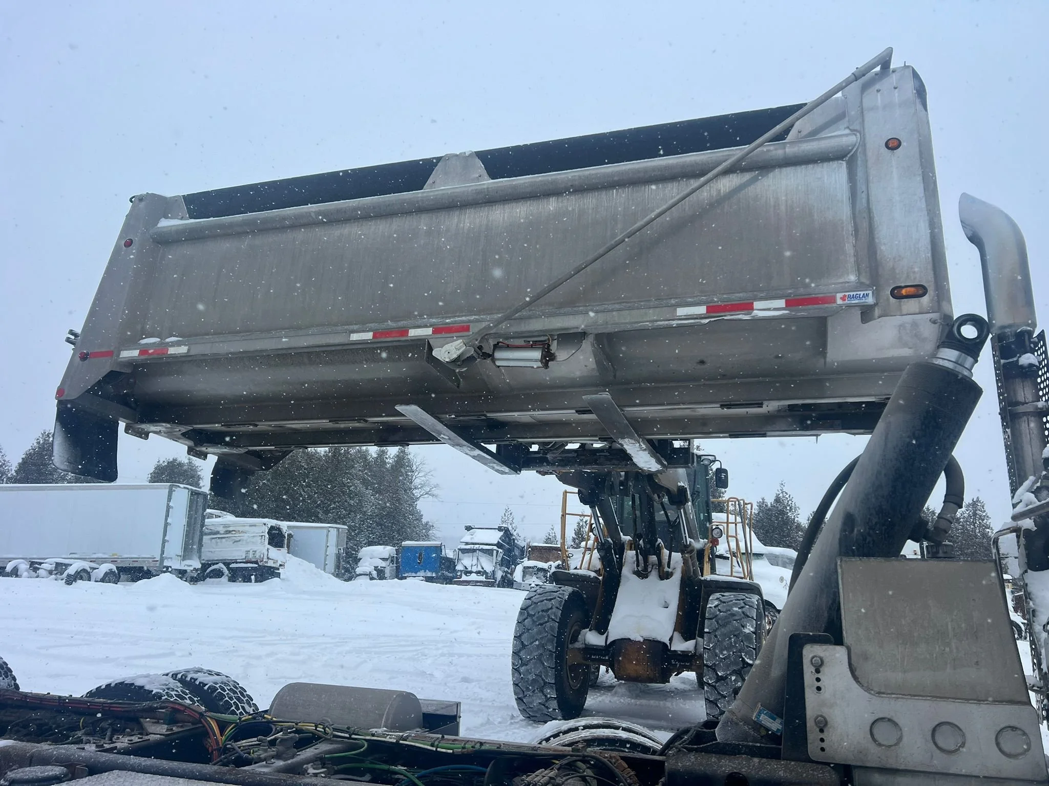 WhatsApp Image 2026-01-23 at 9.36.10 AM.jpeg