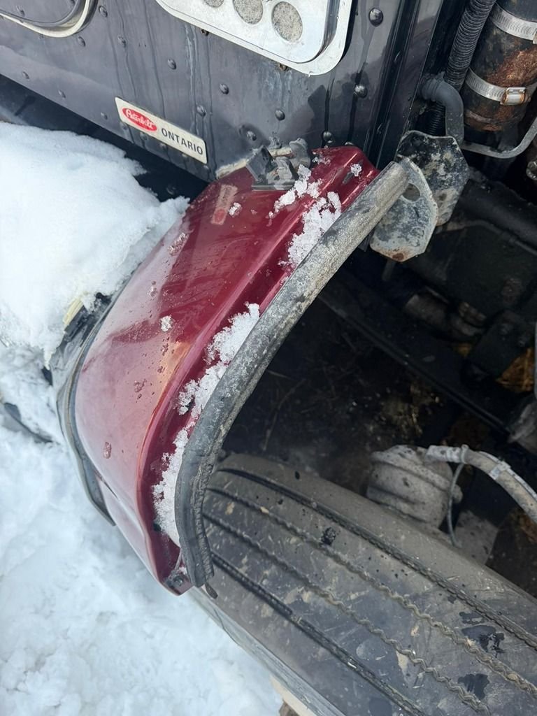 WhatsApp Image 2026-01-12 at 11.37.17 AM.jpg