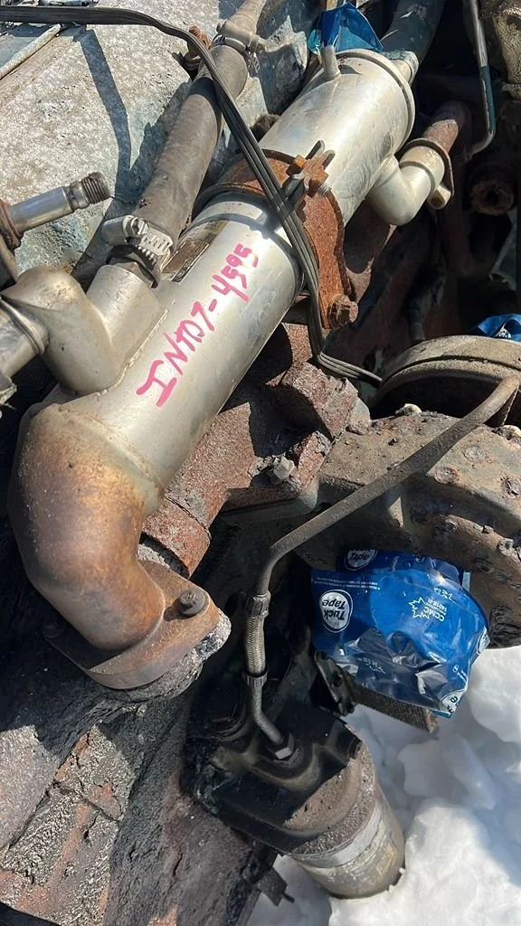 WhatsApp Image 2026-02-17 at 2.38.21 PM.jpg