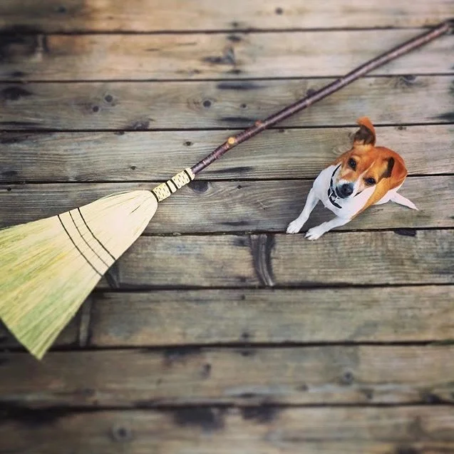 Obie and Broom