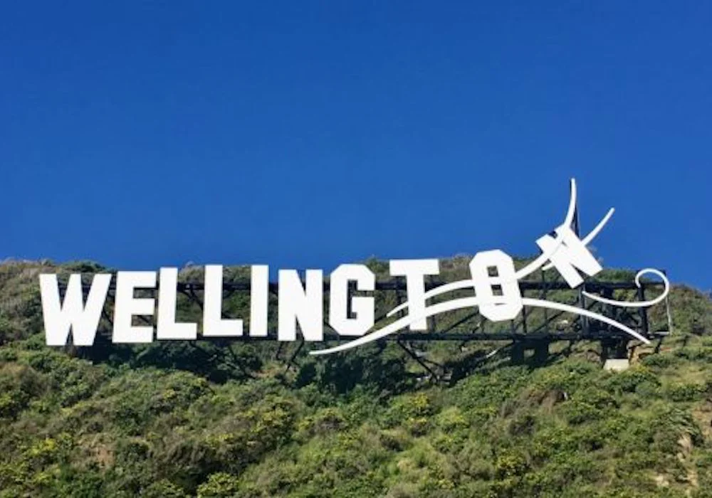 5 Of Our Favourite Wellington Bands You Need To Check Out