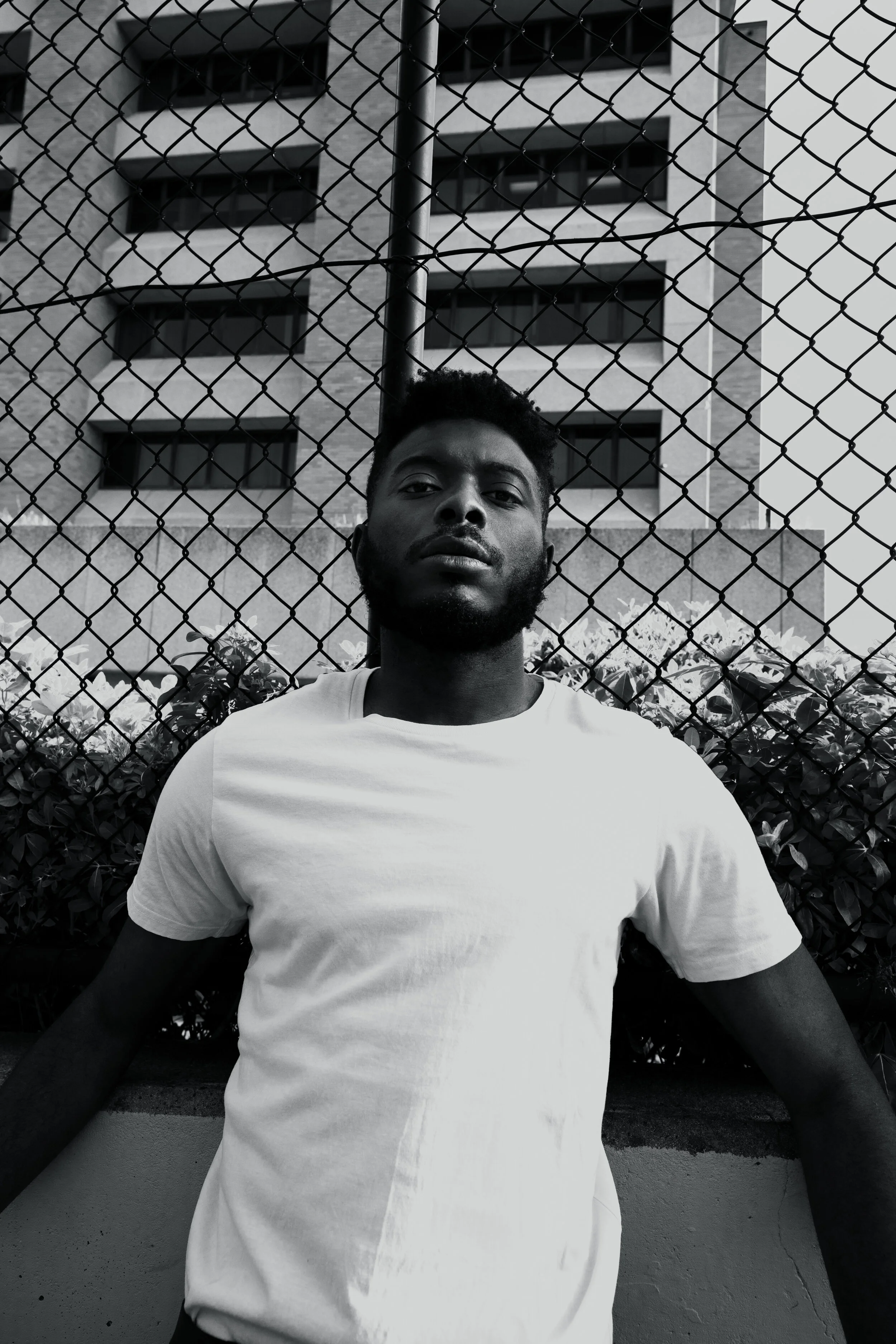 Click here to hear IJALE