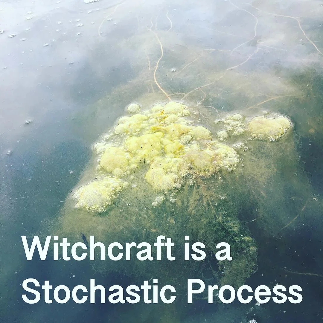 2018-09-03 12.58.59 1860465056464349240_meghantrainorwitchmemes.jpg
