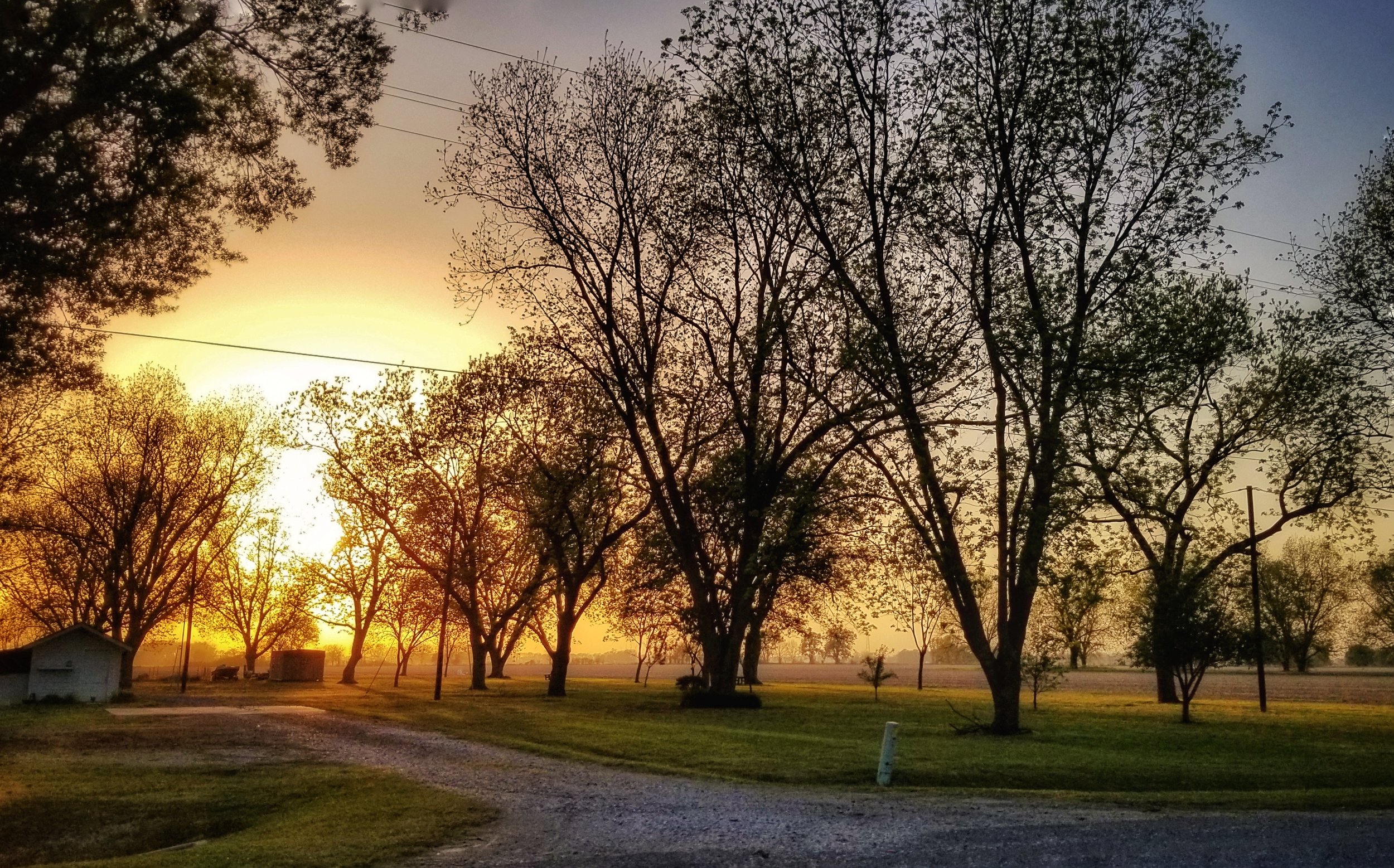 (Photo: Marc Boswell) Transylvania, Louisiana