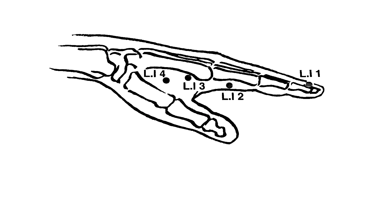 F1332F38-ED11-4AA5-9C63-886B4B6589F7.jpg