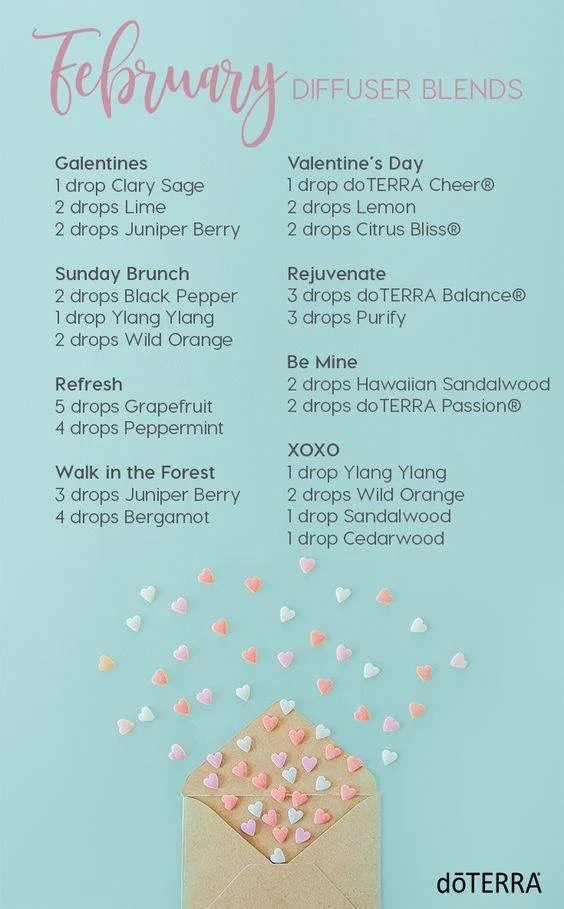 Hol Fit Diffuser Guide Hol Fit