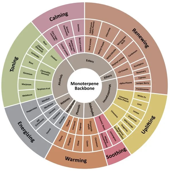 Emotions + Essential Oils Guide — HOLFIT