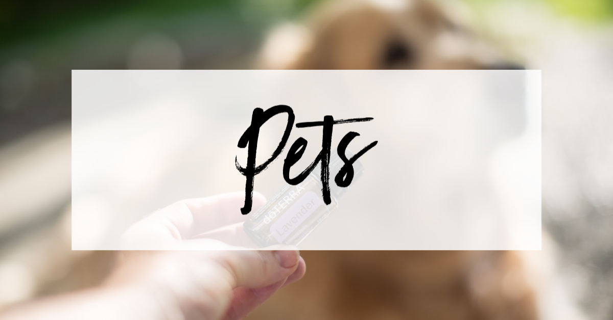 pet-oils (1).png