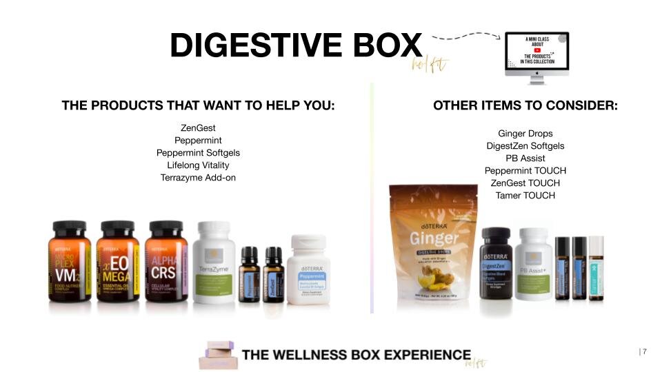 Digestive Box.jpg