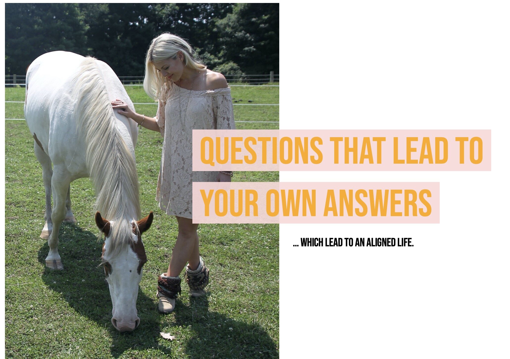 some of the most important questions we can ask