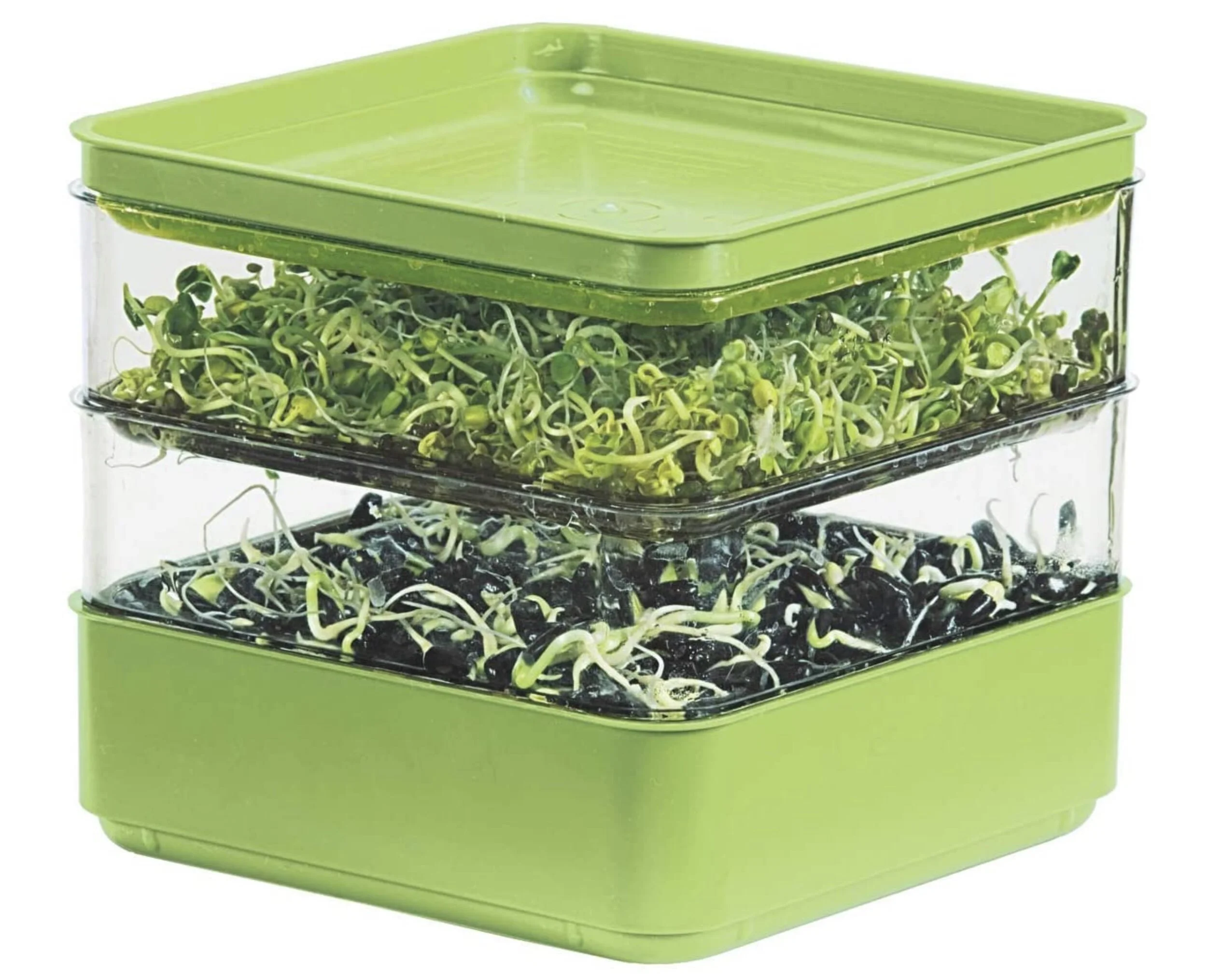 Sprouting Trays