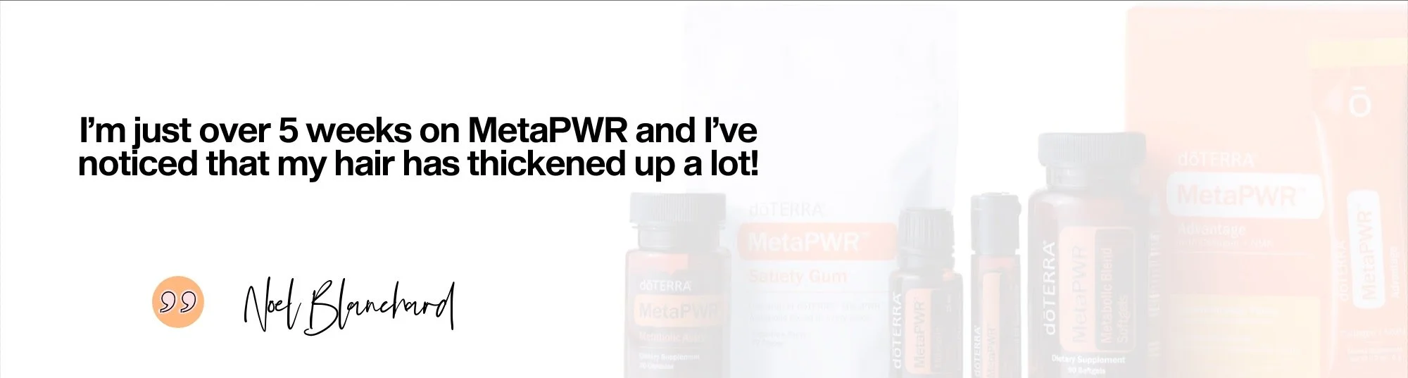 metapwr testimonial 3.jpg