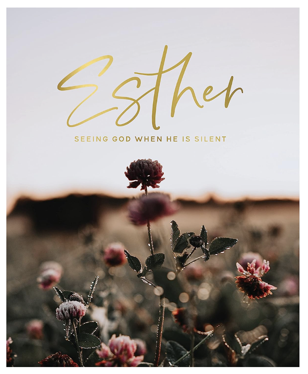 Esther study guide