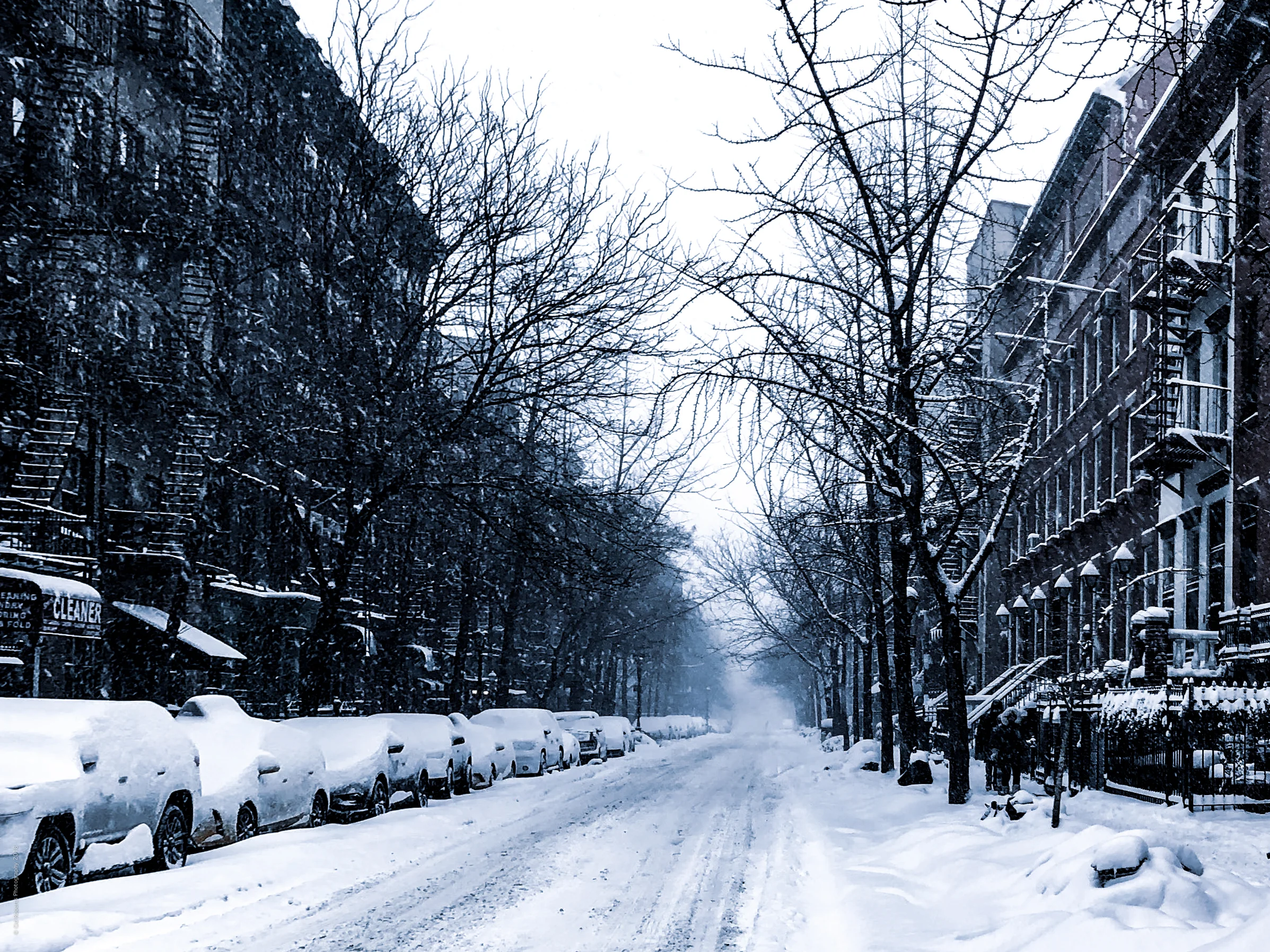 Harlem Snow Day.jpg