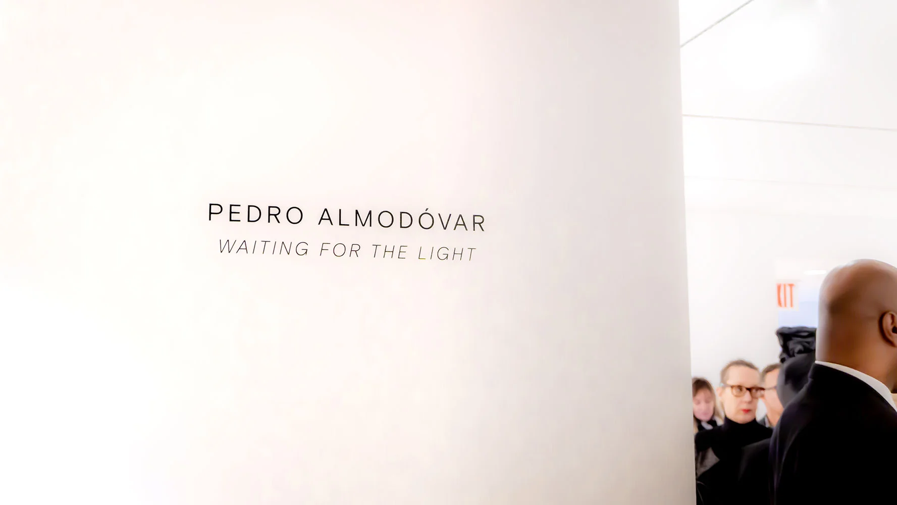 Almodovar_02.jpg