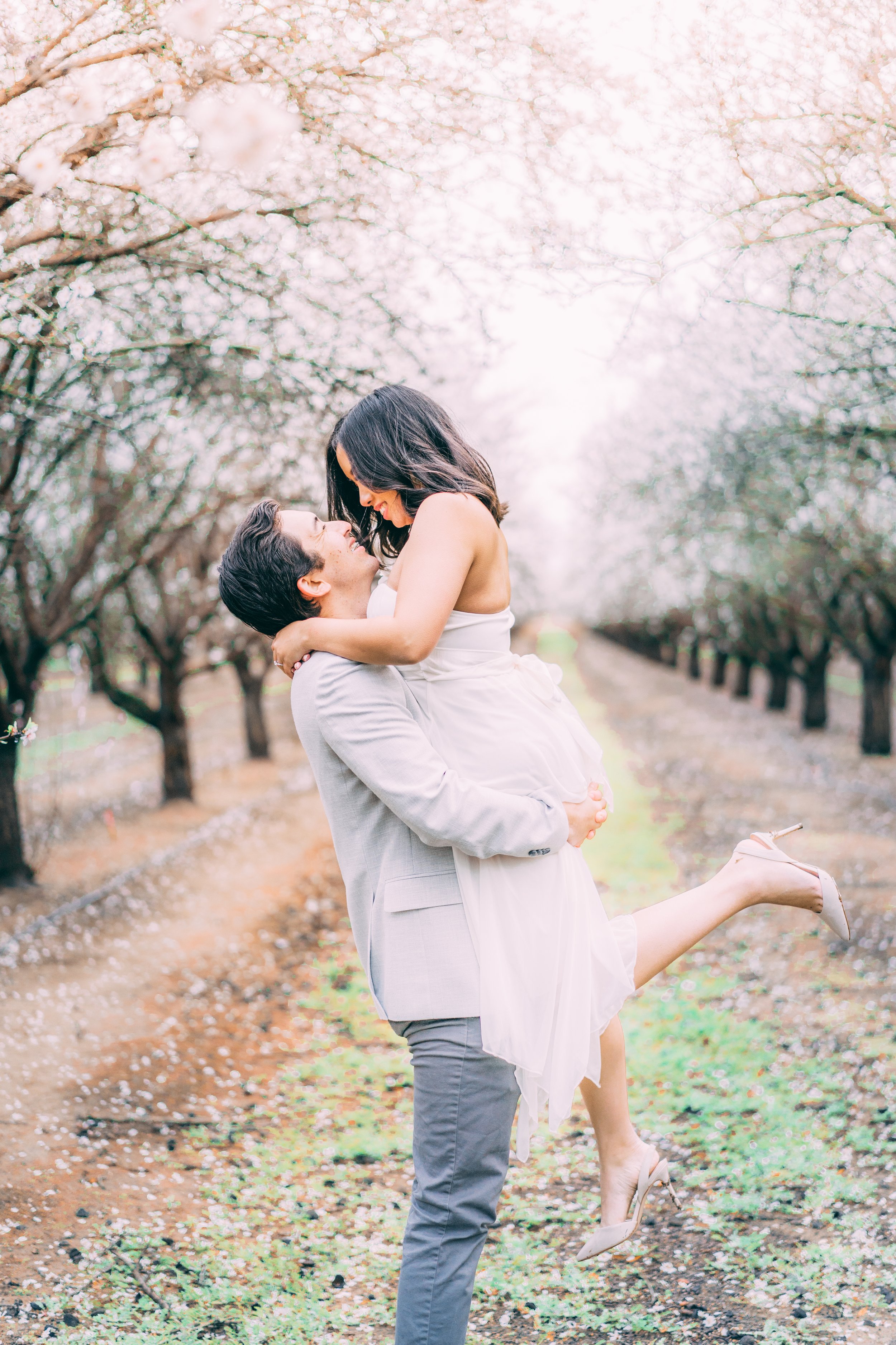 C+J Almond Tree C2-3.jpg