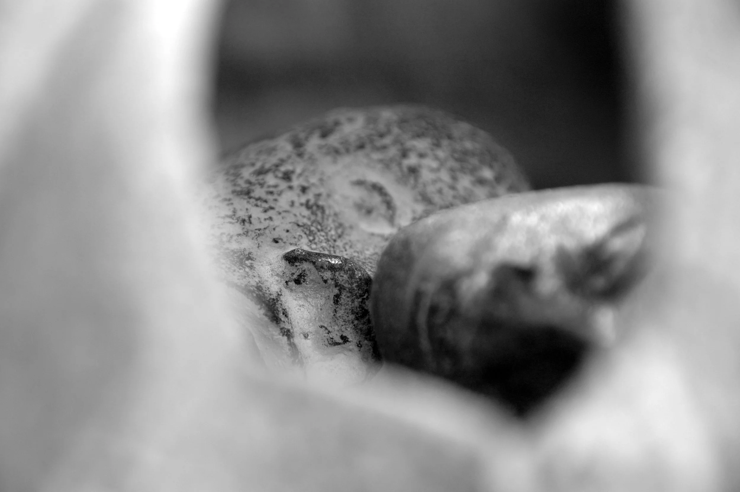Alexander Polzin - David and Goliath solo5-detail_03 © michalek@stadtwind.de.jpeg