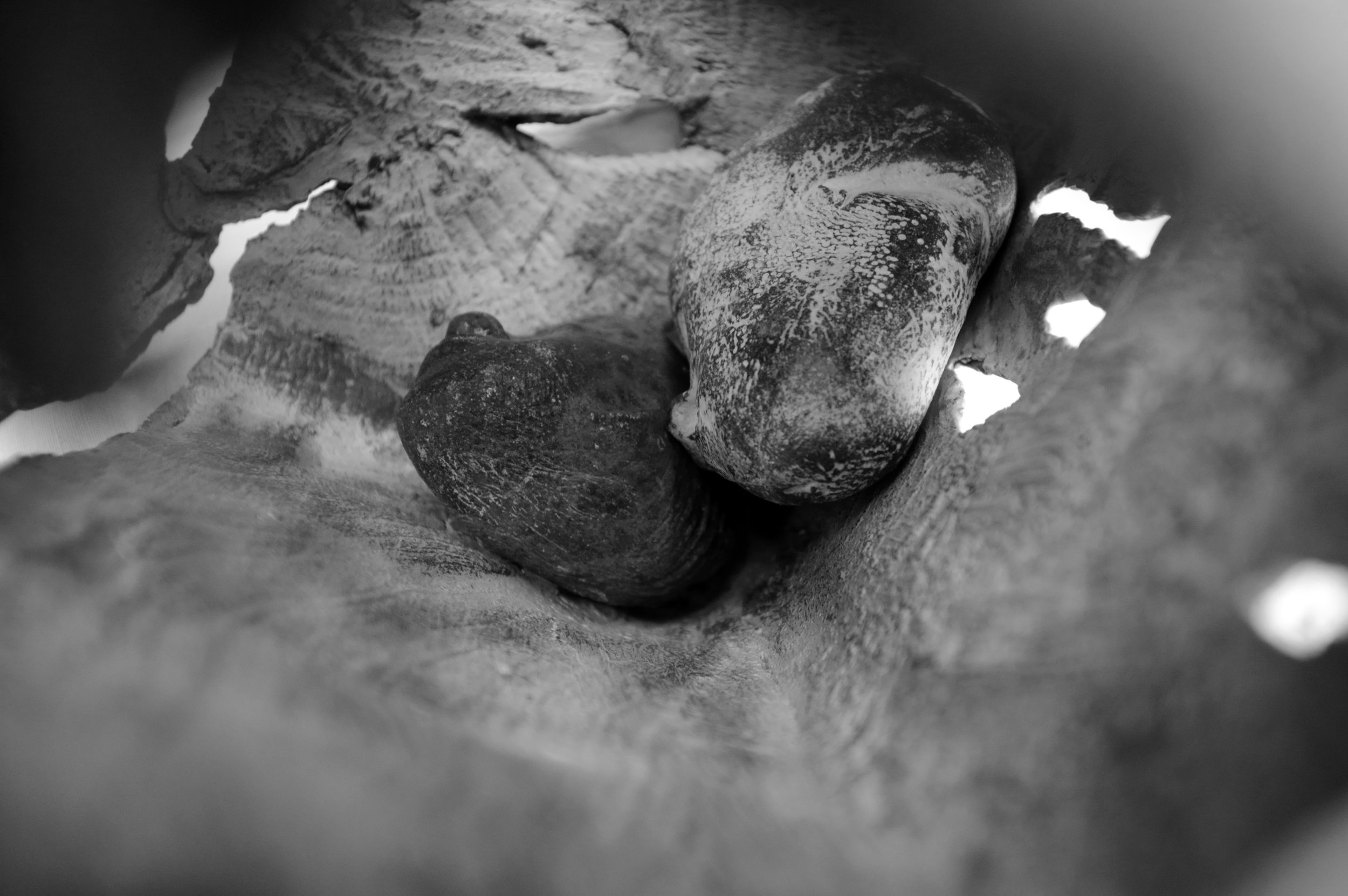 Alexander Polzin - David and Goliath solo5-detail_07 © michalek@stadtwind.de.jpeg