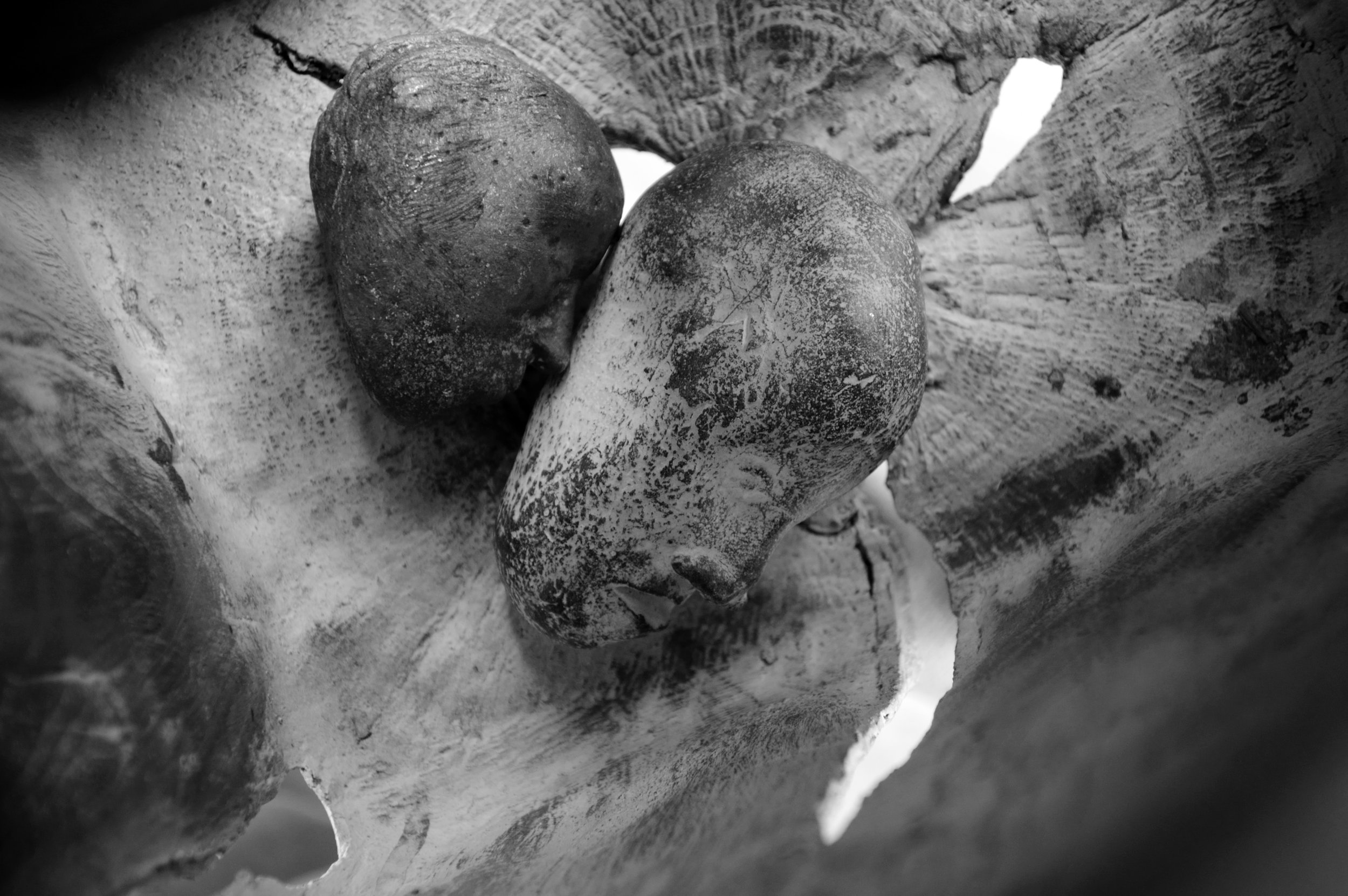 Alexander Polzin - David and Goliath solo5-detail_08 © michalek@stadtwind.de.jpeg