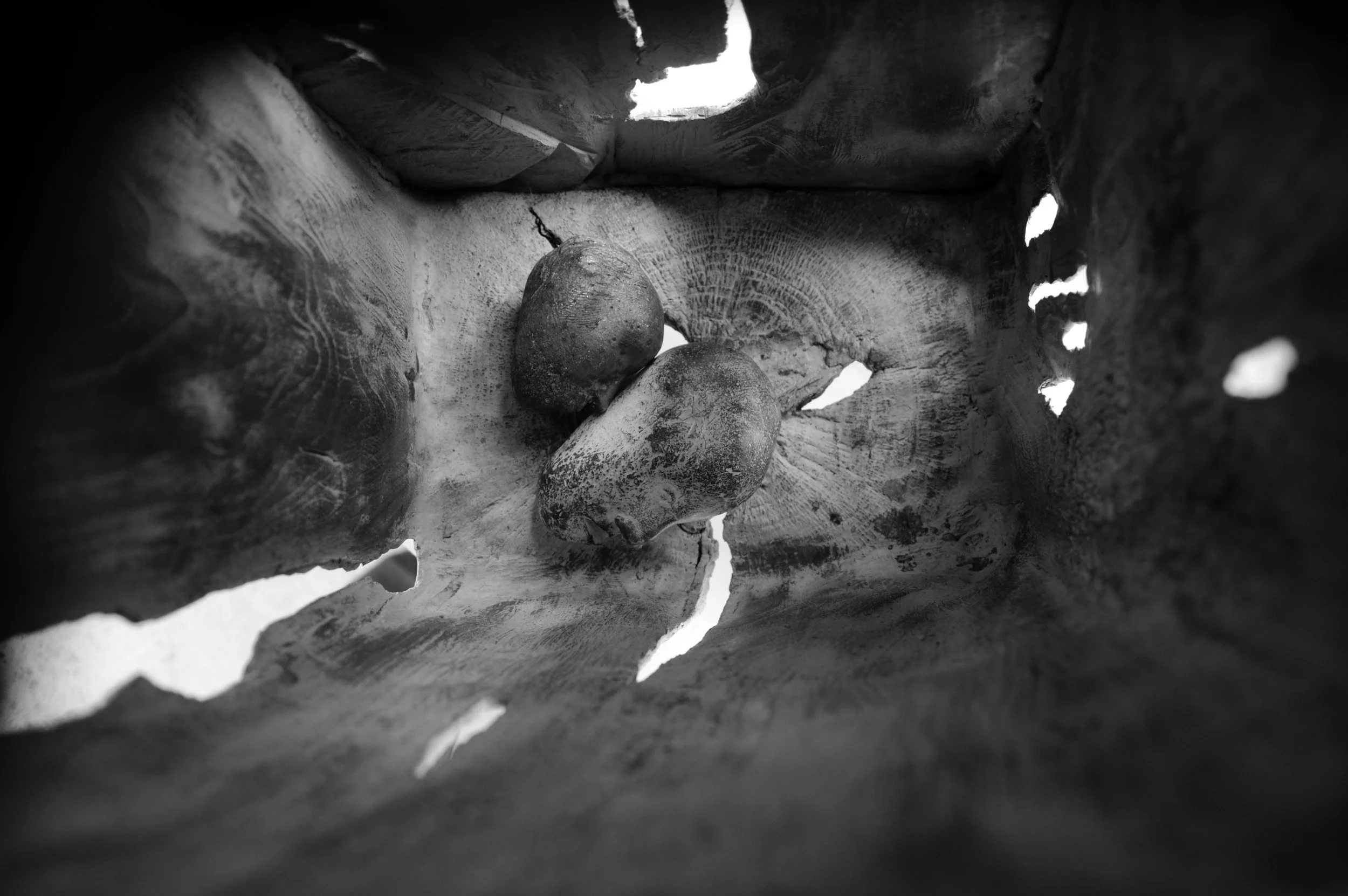 Alexander Polzin - David and Goliath solo5-detail_09 © michalek@stadtwind.de.jpeg