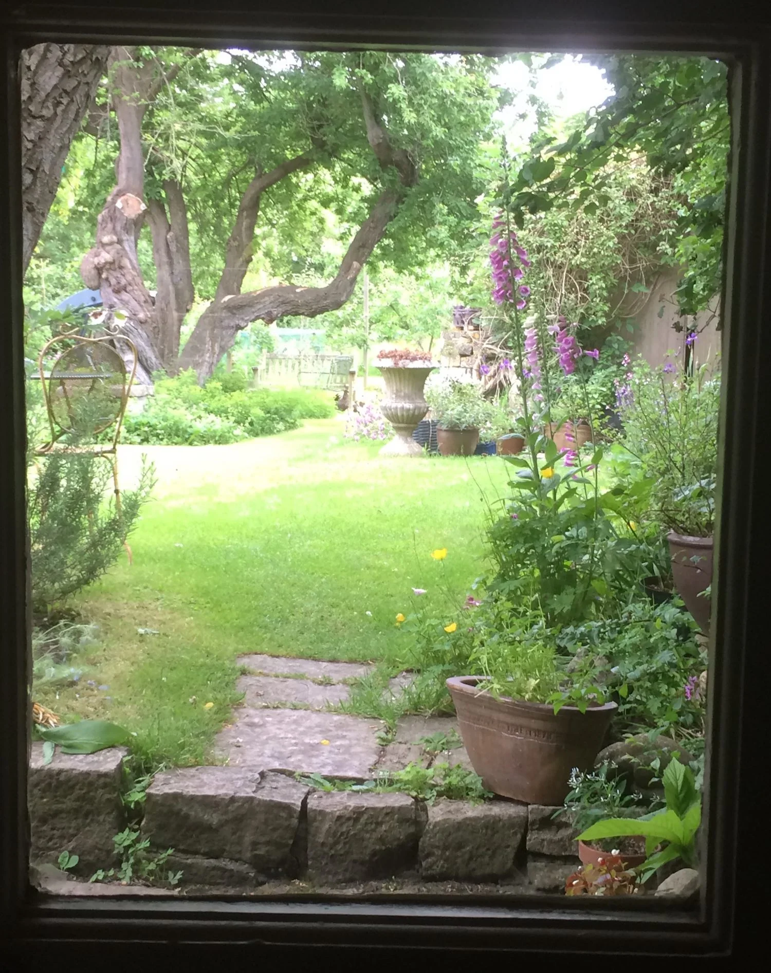 Badgers_kitchen_gdn_452.jpg