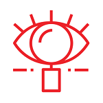 11.RFG_Insights1.png