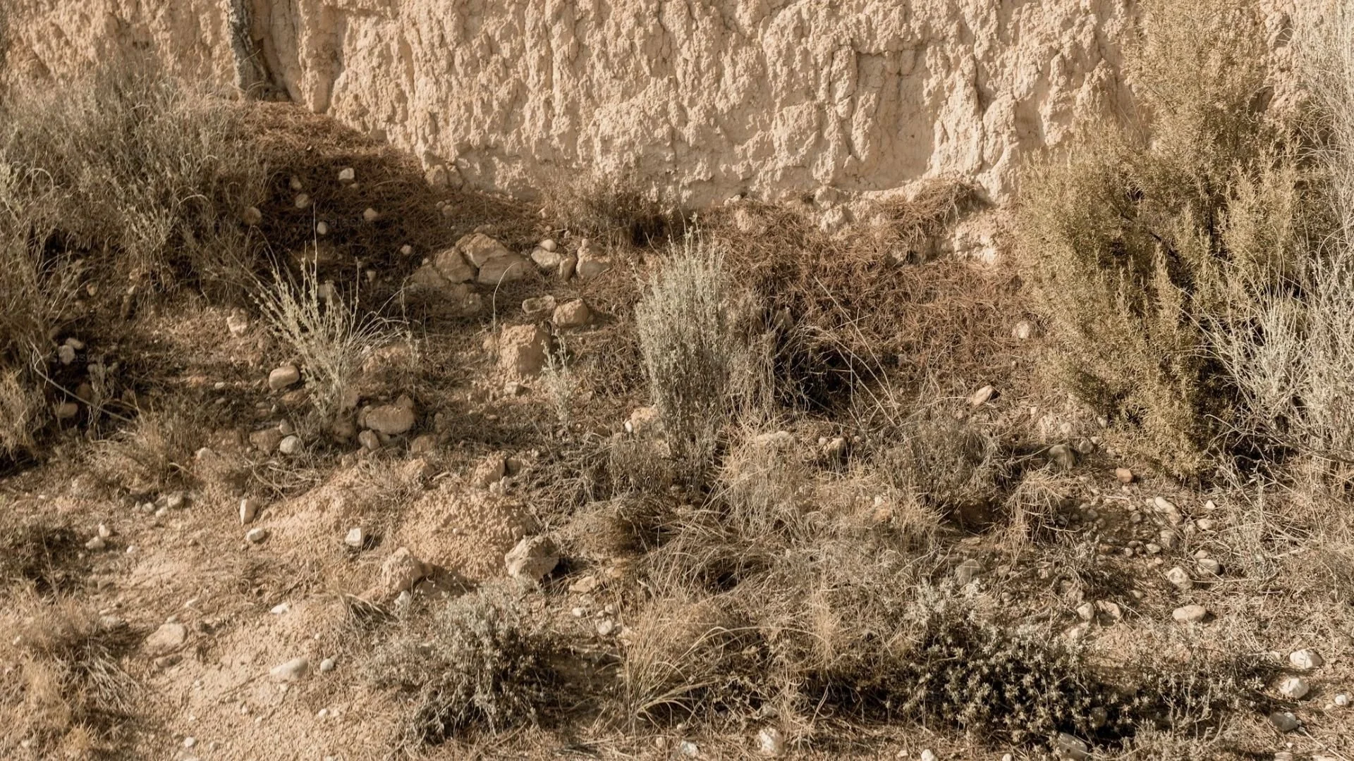 Slate Branding Package (11).jpg