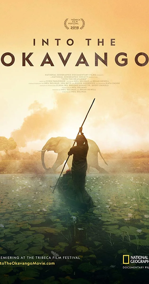 Okavango Film Poster.jpg