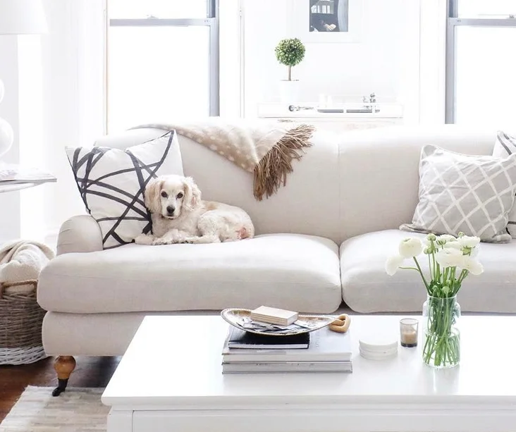 Source: TheEveryGirl