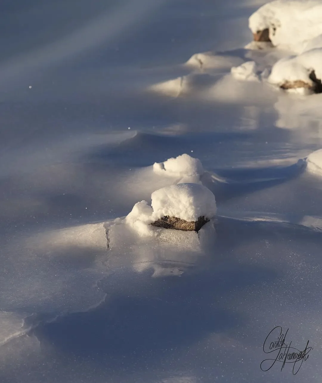 The smooth shadows of a wintery seashore 🌬️🌊
.
.
.
.
#finland #finnishnature #finland_photolovers #loves_united_finland #thebestoffinland #discoverfinland #visithelsinki #nordicnature #excellent_nordic #nature_brilliance #natures_lights #natures_ar